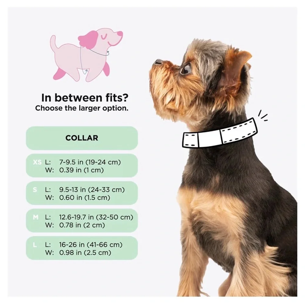 Barbie x Sassy Woof DOG COLLAR - BARBIE™ MALIBU
